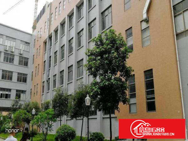 黄江北岸成熟工业区原房东红本厂房40000平出租