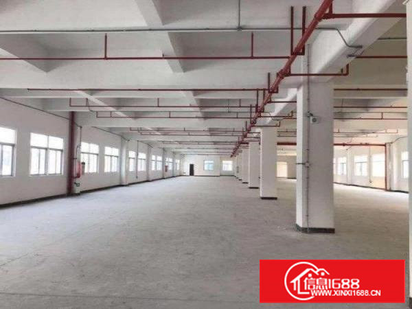 谢岗最新开发区厂房10000平米