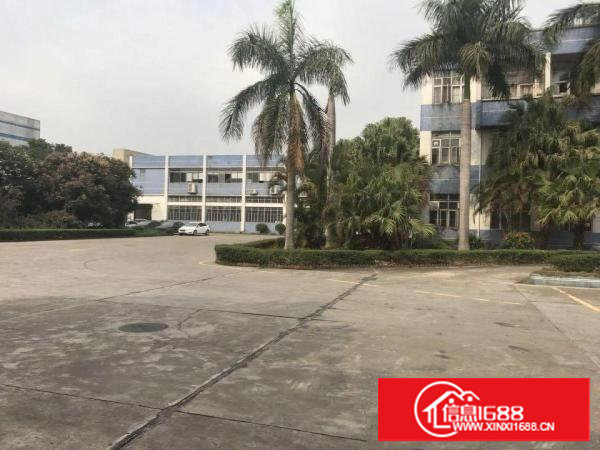 塘厦新建8米高带隔热层独栋钢构厂房967平方即租