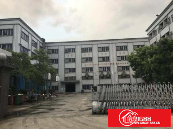 横岗简龙新出原房东标准一楼1300平招租带行车免费用