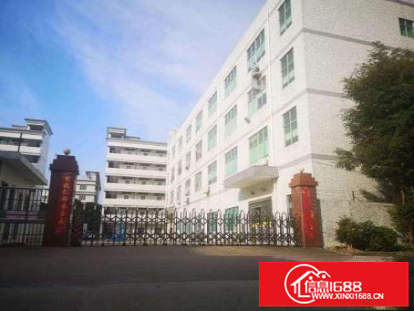 出租龙岗大运村委6000平方独院厂房可分租可生产可做电商仓库