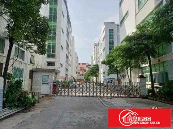 新出1楼700平可分240平460平适合各种行业