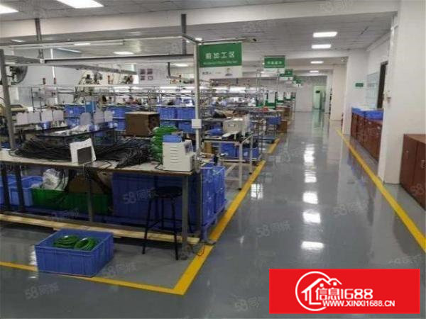 新出大朗房东楼上1500方，无公摊，带装修适合电子，医疗行业