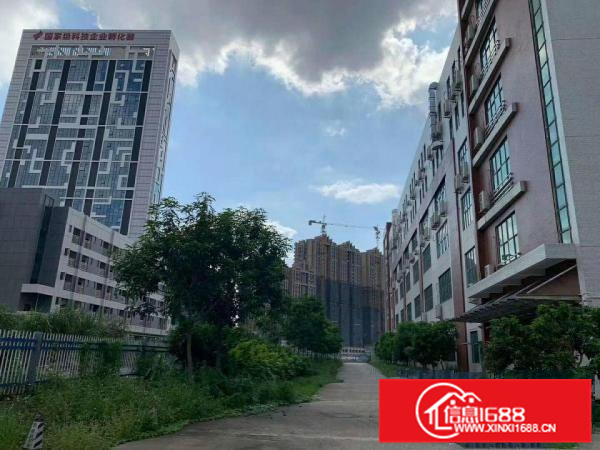 陈江工业园分租一楼1500和3000平方出租