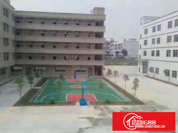 新出独栋厂房，形象好，