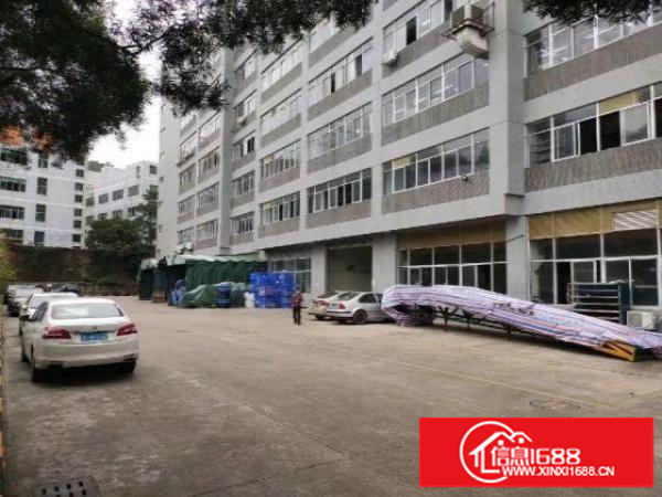 真实:观澜高新园区一楼厂房3000平方