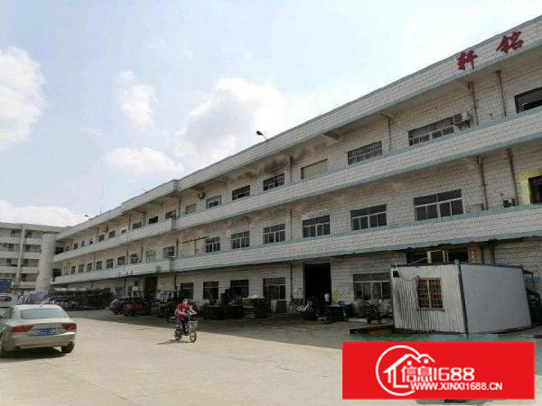 清溪三中厂房二楼整层3800平，现成全新装修