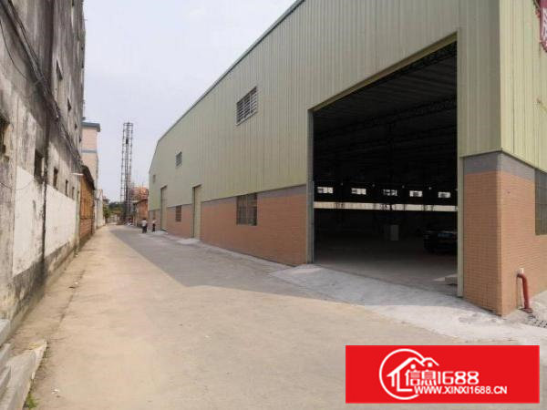 石排成熟工业区一楼1200平方米出租