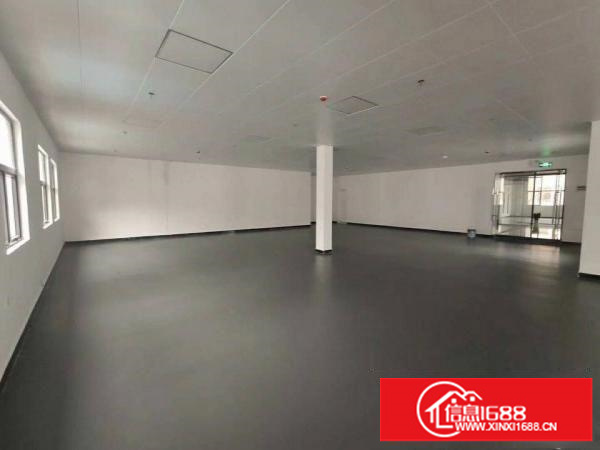 小95平起分靠近罗湖精装写字楼火爆招商面积14层6000平