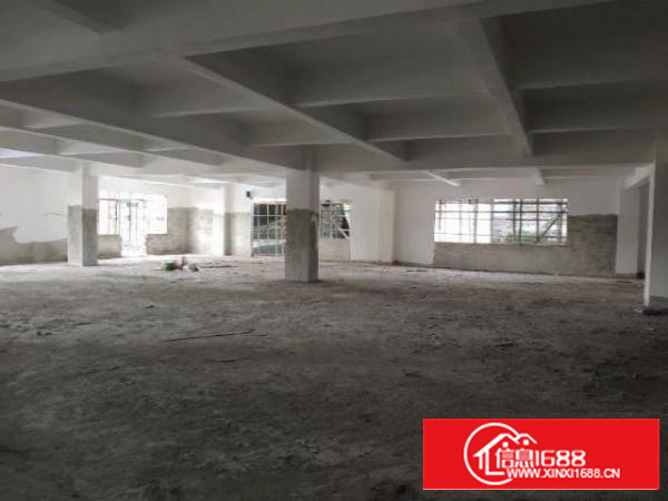 新建独栋厂房，带电梯，大车出入方便，可分租