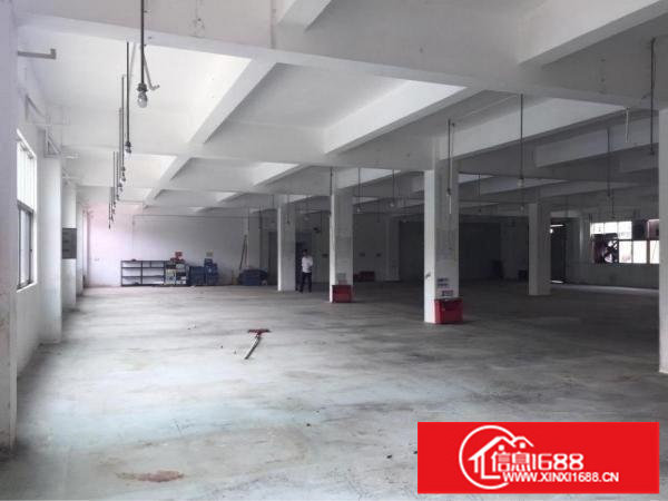 龙华观澜新塘龙观快线边1100平小面积厂房业主直租