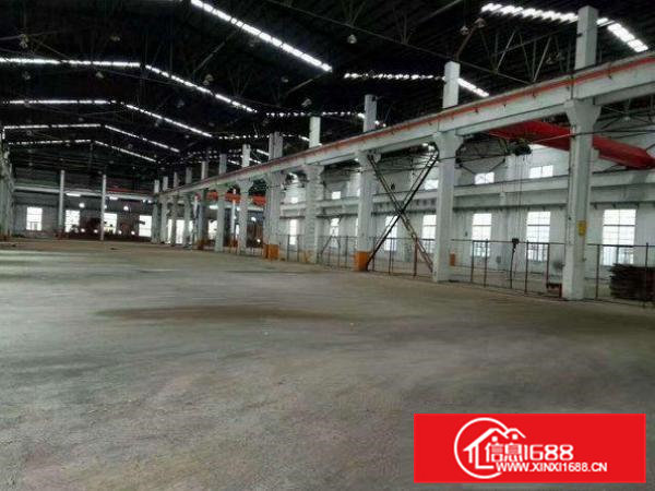 清溪清厦新出1200平高9米钢构厂房招租