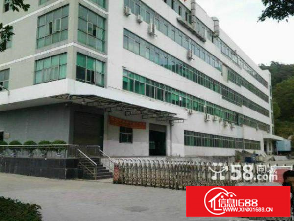 大浪新百丽港深创新园新出三楼500平带精装修适合电商贸易