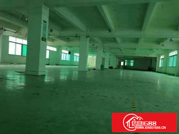 出租龙岗区龙岗平湖楼上精装修厂房