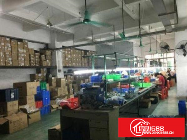 出租坪山新区深汕路独院4800平方标准厂房