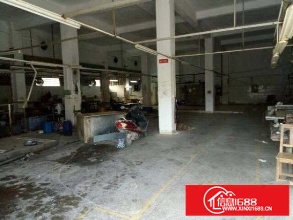 坑梓老坑一楼标准厂房800平方，便宜出租