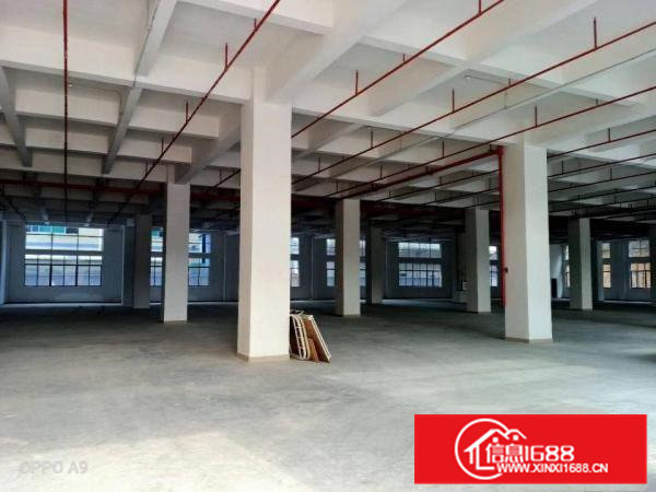 高埗镇大型工业园区出租厂房1500方，大小可以分租