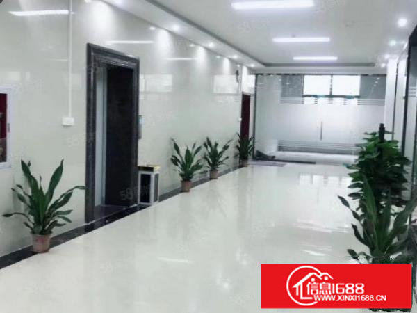 龙华大浪楼上180平精装修办公室出租