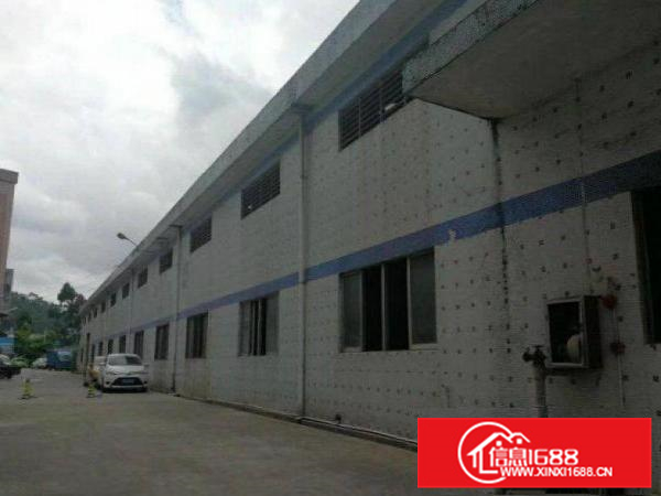 （出租）长宁工业园单一层铁皮房750平，现成水电