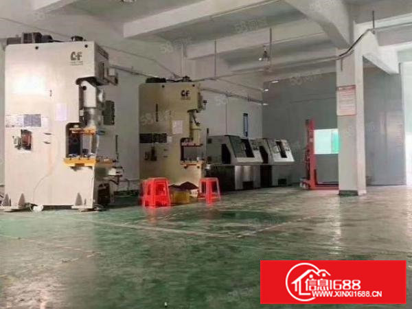 凤岗一楼350平方现成办公室装修