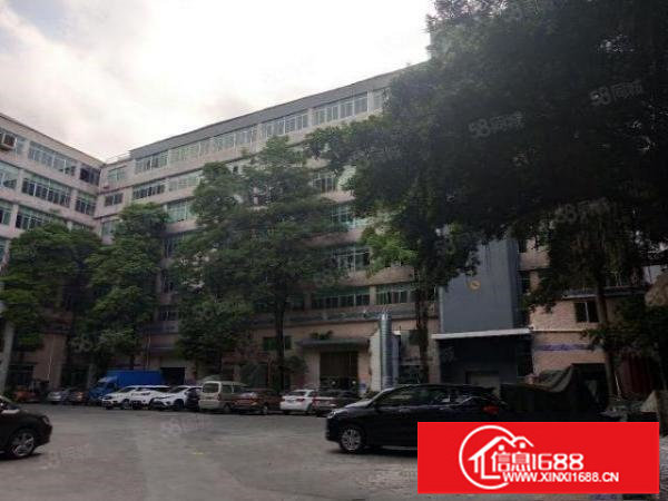 龙岗区宝龙科技园原房东红本15000平方独院包租一楼层高6米