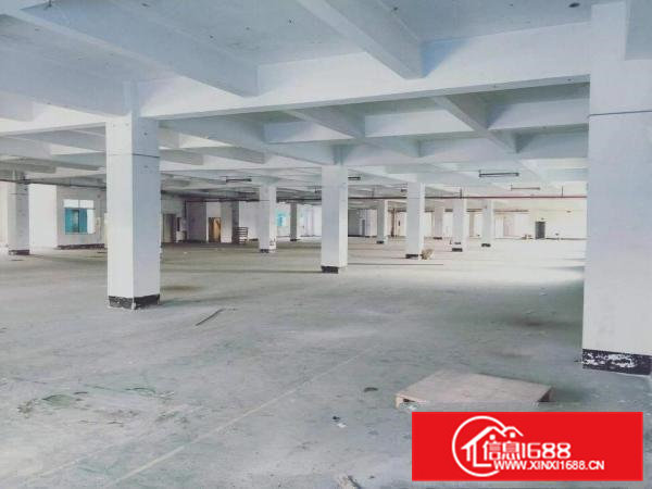 虎门居岐新出花园式独院厂房楼上单一层厂房4200平