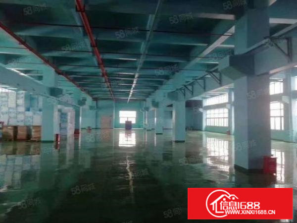 清溪三中7米高标准一楼2100平方带水电办公室急租