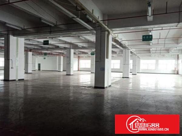 重河标准厂房2楼650平方现成装修厂房招租，水电齐全