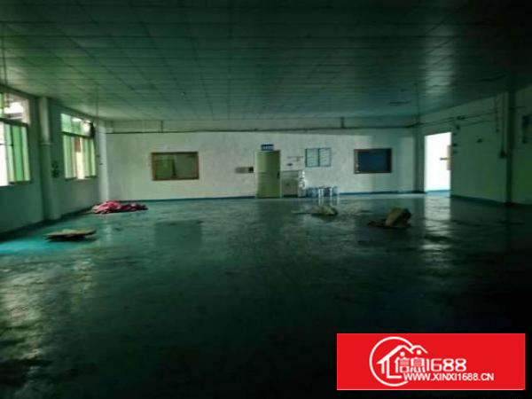 出租原房东单一层厂房独门独院先到先得