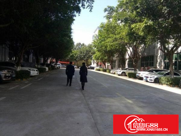 观澜新出楼上500平豪华装修厂房出租