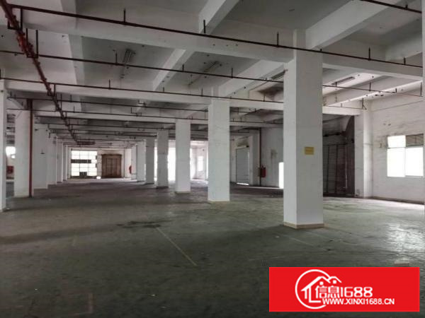 布吉上李朗科技园15层14000平方厂房出租