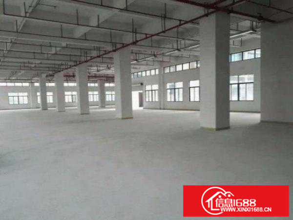 龙岗原房东3吨电梯厂房出租1500平3000平实际面积