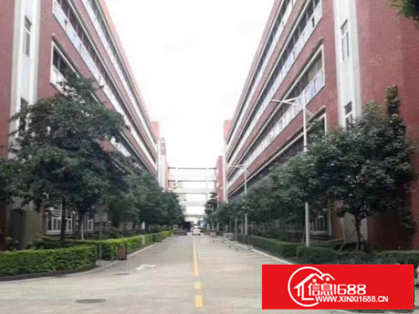 公明镇花园式厂房出租一栋18000平米！有两栋！形象超级漂亮