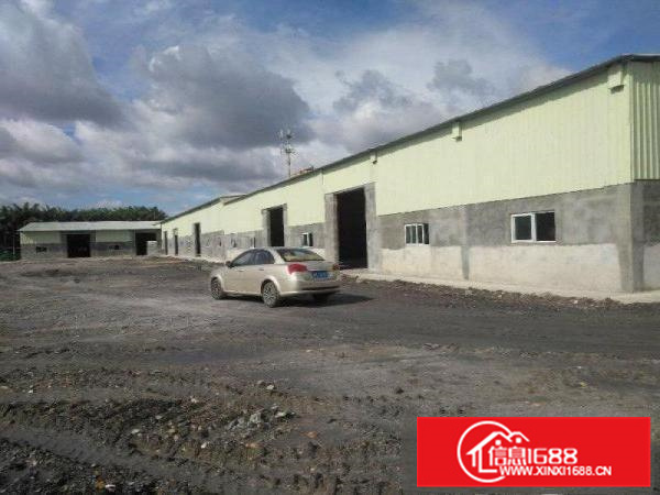 全新钢构3800平原房东三相电空地大