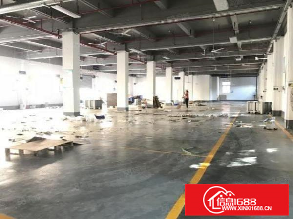 证件齐全，容桂高黎标准1000方，园区管理，空地大