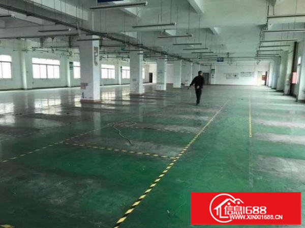 福永会展中心附近独院红本厂房8000平方大小分租