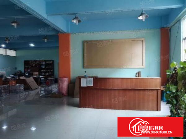 独门独院6000平标准厂房带豪华装修