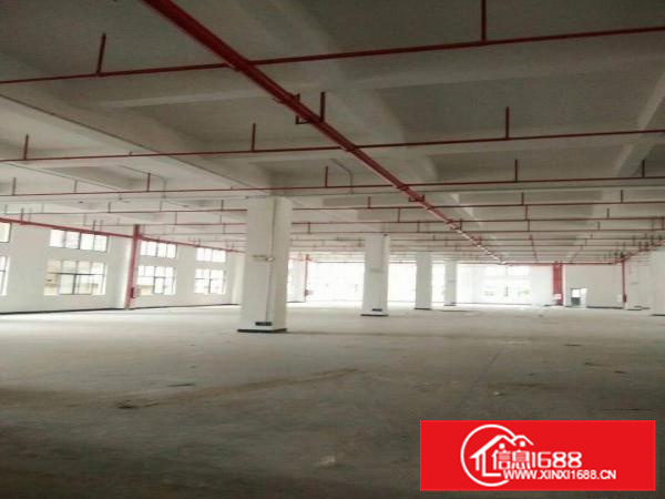 陈江工业园分租一楼1500和3000平方出租