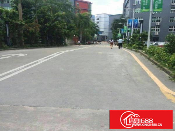 龙岗区坪地国际低碳城3千平方厂房出租标准厂房招工容易形象好