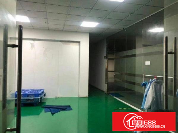 寮步海关旁全新地坪漆带现成办公室厂房1000平出租拎包入住