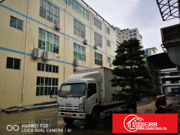 出租观澜樟坑径原房东一楼一整层1400平，带航车可办环评