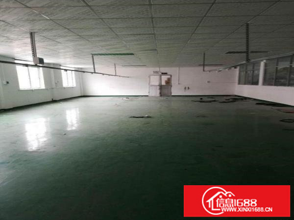 坪山原房东厂房550平方出租带办公室装修拎包入住