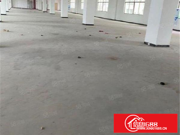 大朗新出标准厂房2000方层高6米带装修，消防合格