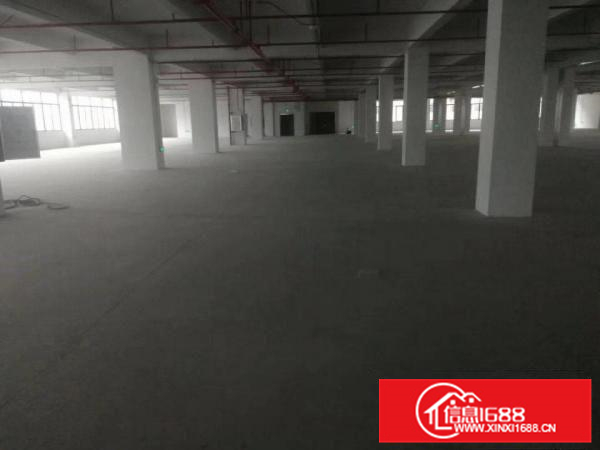 独门独院全新标准厂房23000平米