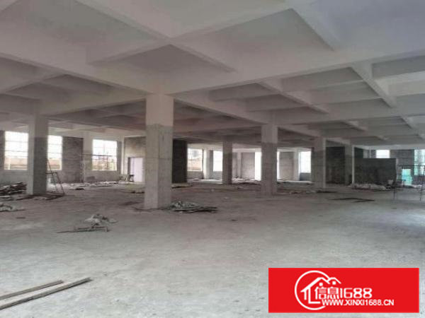 雁田海关附近，全新独院厂房电商冻库出租1万平，大小分租