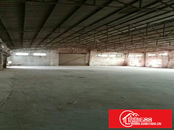 观澜大量单一层出租，大小都有，200起租