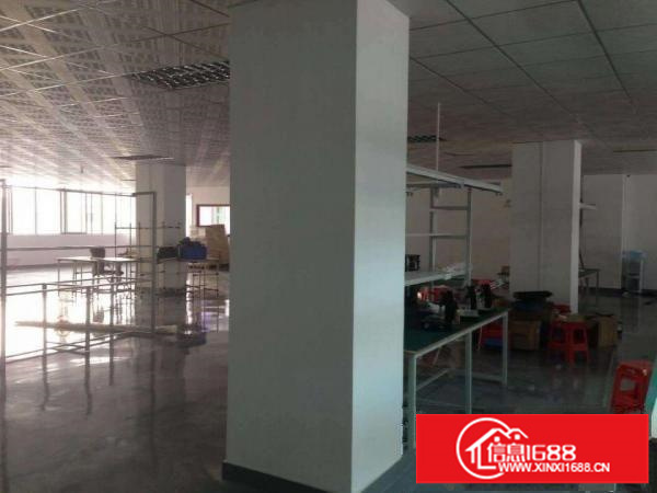 民治油松即将空出两栋共26000平红本厂房招租