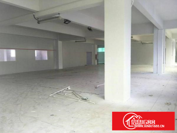 出租坪山新区坪山新出标准二楼300平