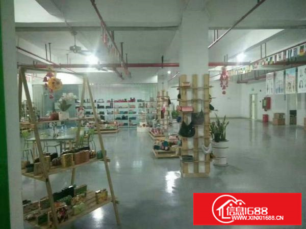 新圩国道边现成装修厂房900平米