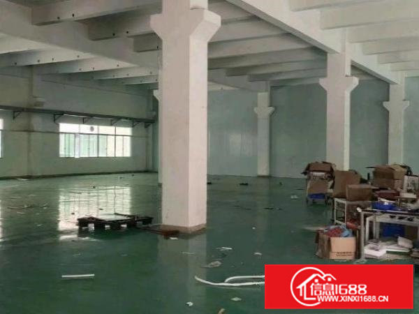 原房东一楼1000平，实际面积出租，层高6米，带牛角！